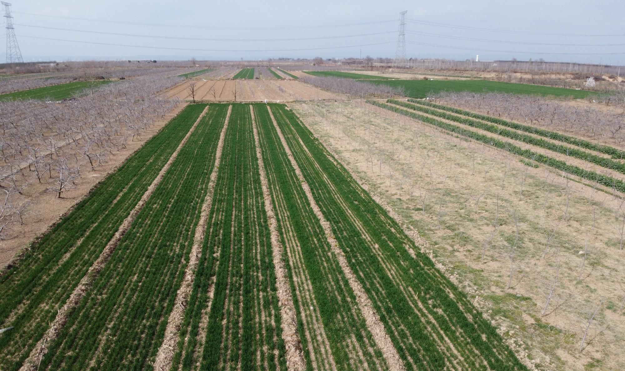  「孩子」农村人为什么不爱出门旅游？