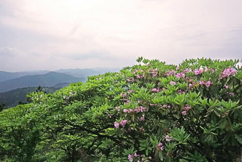  gdp：浙江“下一个杭州”即将诞生，或将成为新的领头羊，你知道