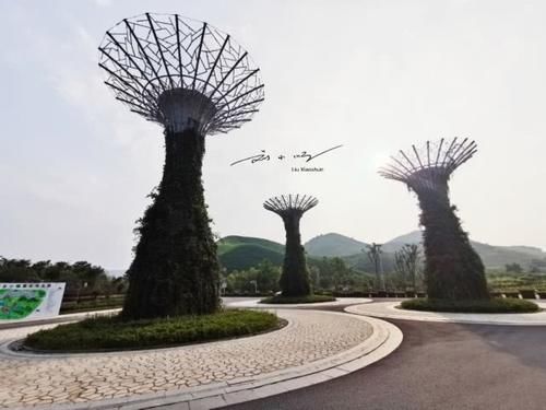 十一旅游哪家强？江浙沪最值得一去的小众景点，好玩而且人少哦！