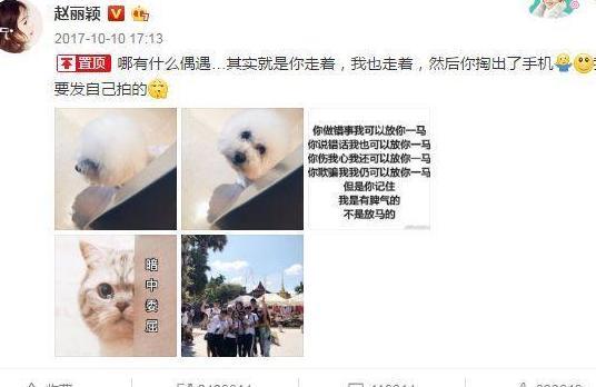 赵丽颖：我不是专门放马的！昔日赵小刀再现江湖，怒回怀孕传闻！