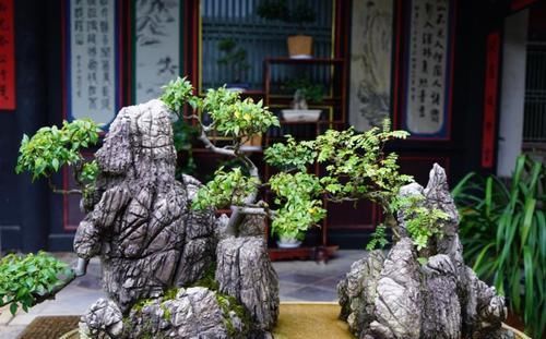  朱家花园：云南鲜为人知的大观园，原是清代私人豪宅，精美建筑令人赞叹！