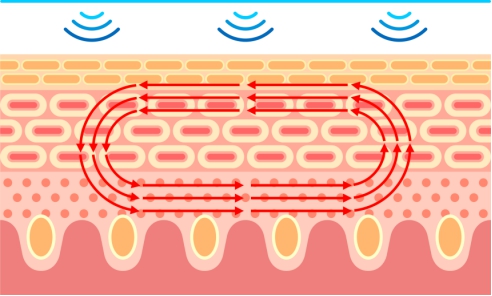 单身的女人依然酷，若水Rossui帮你对抗岁月的痕迹