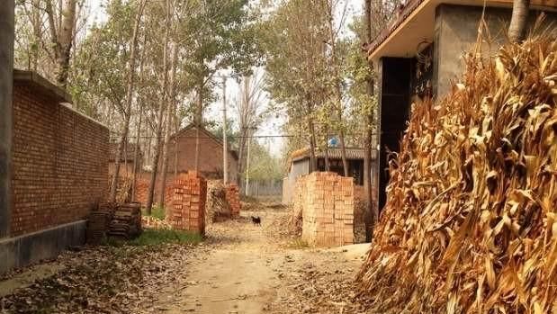  「利弊」现在好多农村人在城里生活，户口却在农村，有什么利弊