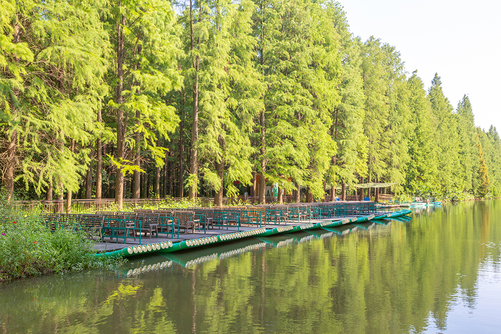 江苏罕见的水上森林,拥有万亩水杉林,是座名副其实的天然氧吧