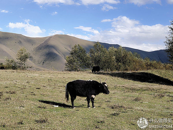雪山/草场/海子,与魅族16th踏上色达+稻城川西环游