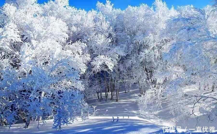 四川阿坝的初雪,成为“表白胜地”?到处都是浪漫的气息!