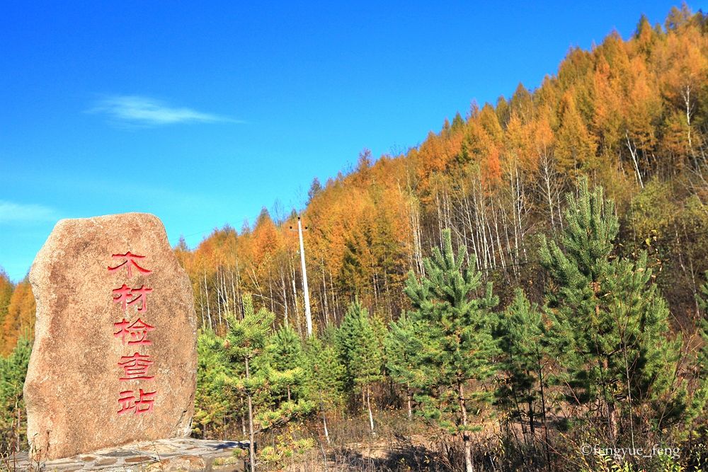 大兴安岭特大火灾澳洲火灾