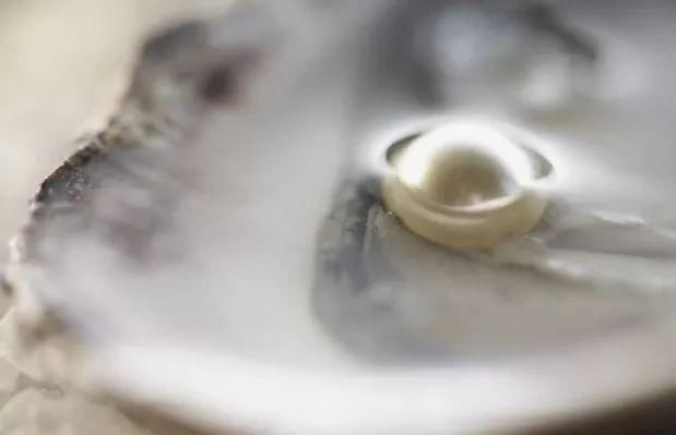 古力娜扎带火的娜丽丝要停产了?这款防晒喷雾明明更好用!