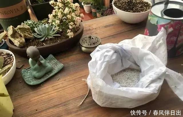 扦插|养花必备的天然植料,扦插配土全需要,养花的人绝对离不开它