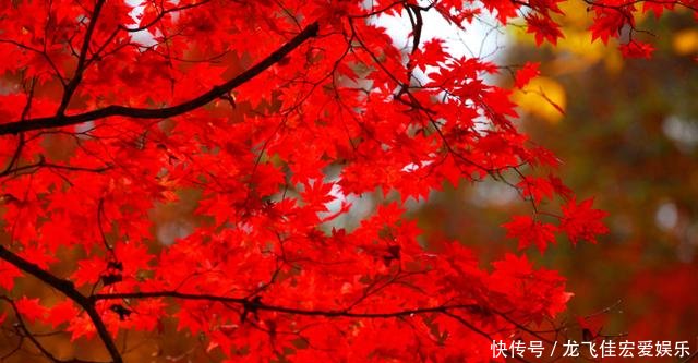 中国唯一一个和省同名的城市，曾经还是省会，是你的家乡吗