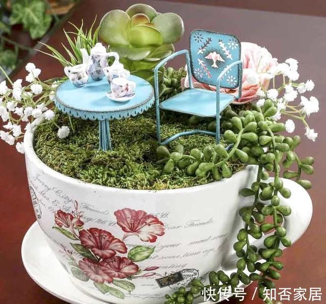 「装饰」在茶杯里建花园,美到惊艳!31万网友疯狂点赞