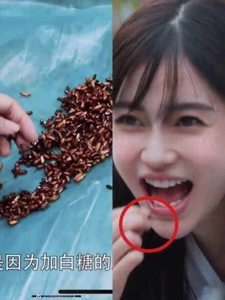 baby假吃是真的假的细节图曝光 向往的生活回应网友也颇为感人