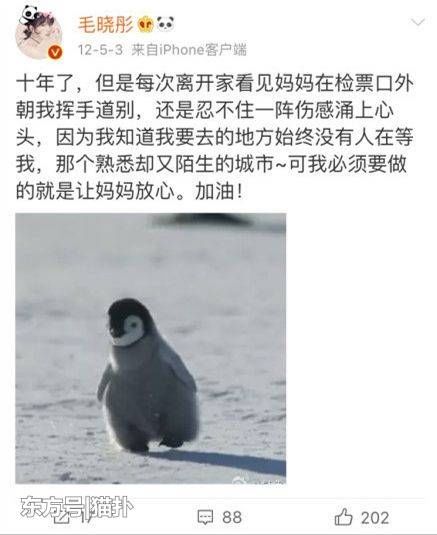 前男友出轨公然卖惨、生父吸毒索要5000万，这位当红女星太惨