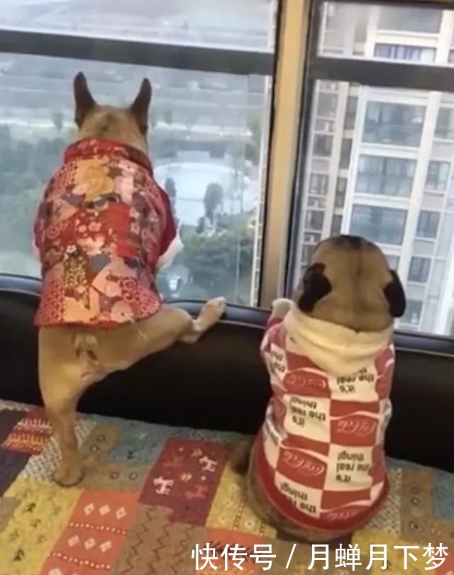  「玩坏」春节宅家自娱自乐大赛，无聊的人已经把自己玩坏了