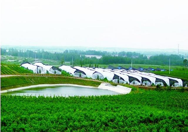 农村没有赚钱的可能？这五种农业项目，最高国家可补贴10亿