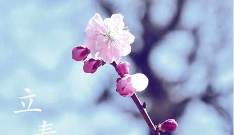  难逢双立春|20年将至，20年为鼠年双春年，鼠年双春年好不好？看