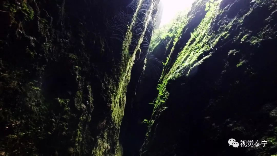 视觉志·泰宁丨央视名嘴性侵,媒体圈底裤有多脏,疫(yi)苗让人牙痒