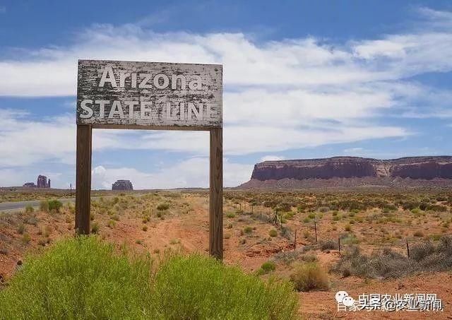 美国农业“集体破产”？补贴太多，产能过剩，中国农业需引以为鉴