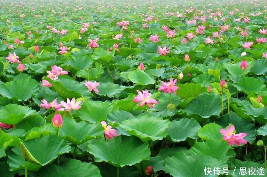 河北最奇葩城市：人口千万经济却不如县级市，号称中国冠军第一城