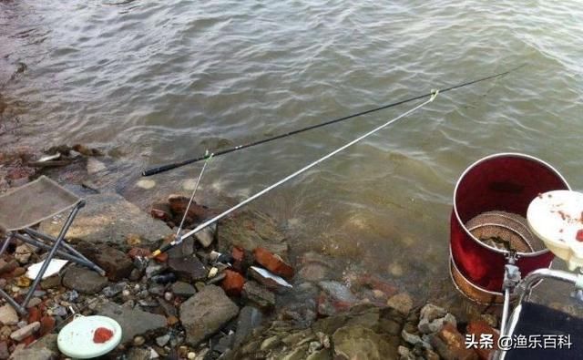 别怕夏季钓鱼不知道钓深还是钓浅，明白这两点后就能很好的判断！