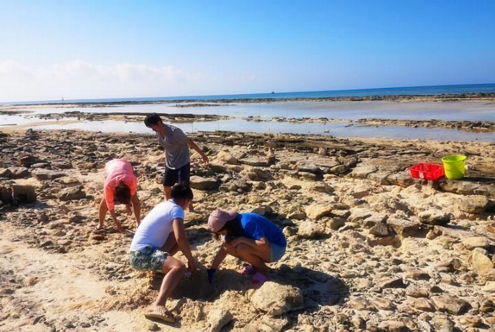 我心中向往的天堂，西沙群岛潜水、海钓、露营