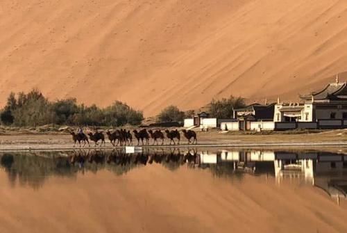 中国这一座寺庙,坐落在沙漠之中,现在只有一人坚守在此!