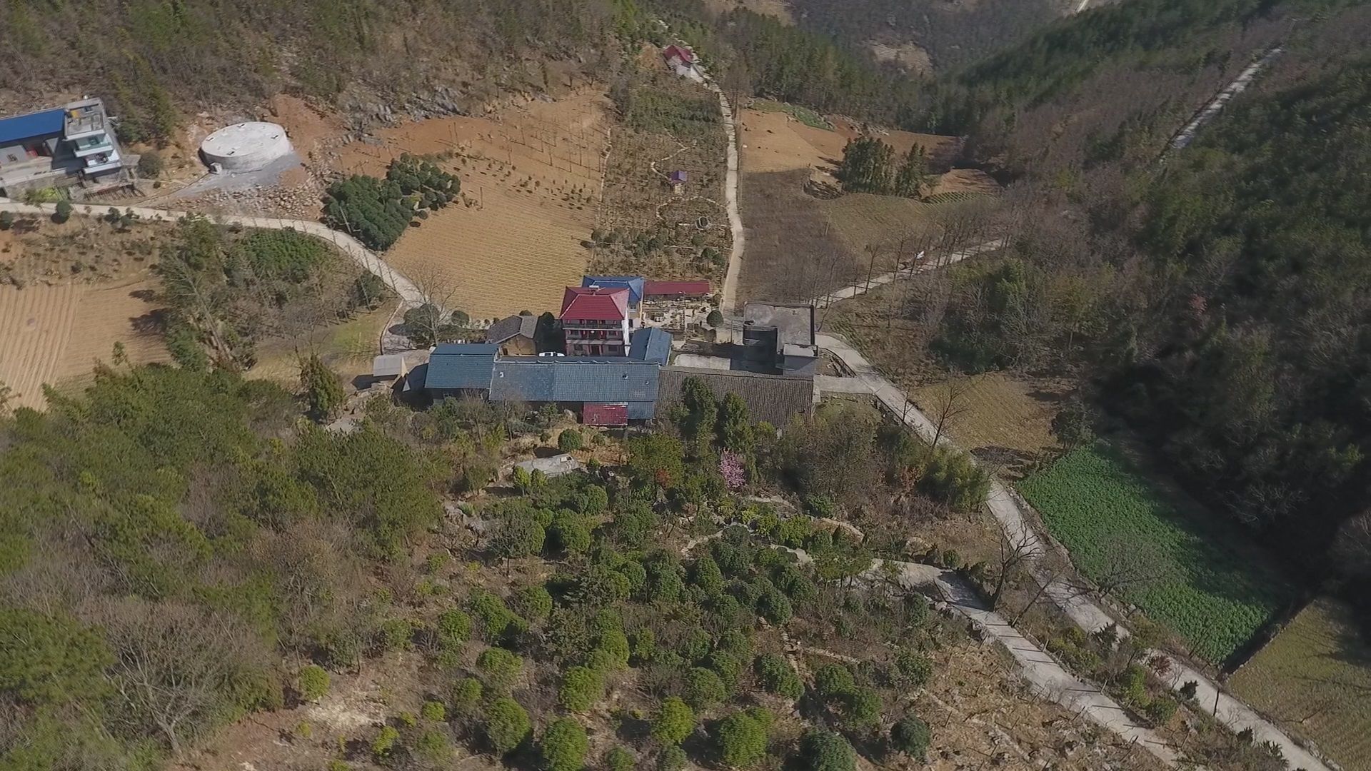  「新华社发」湖北一个家庭农场的春日战“疫”