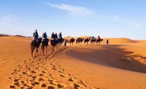 为什么说沙漠里的“玫瑰”可以捡走,而“西瓜”却绝对不能碰?