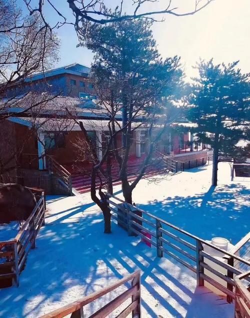 密云的雪美爆了！一夜之间好似进入了童话世界