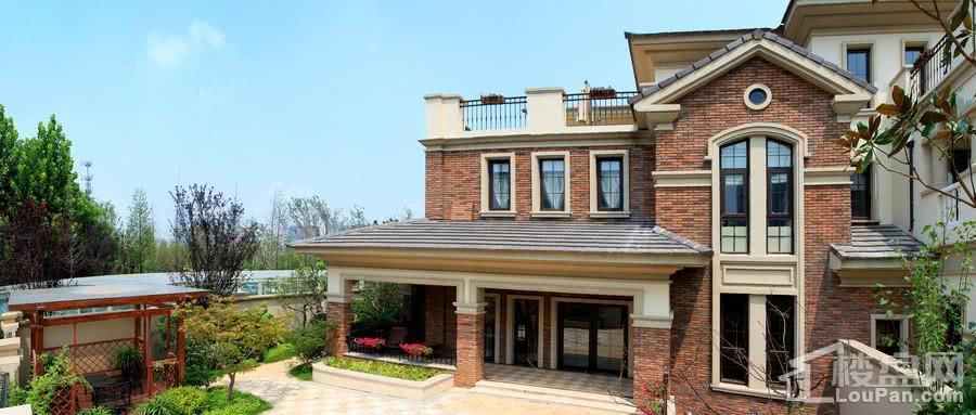 央视追问:违建别墅为何拆得快查得慢?之前为啥任其发展