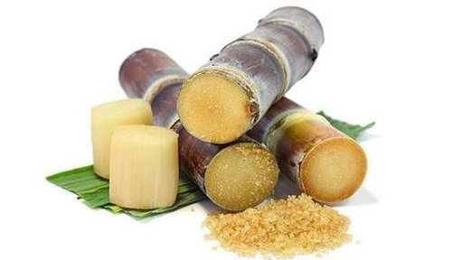  可知|南方有种作物叫甘蔗, 你可知: 到了北方叫什么