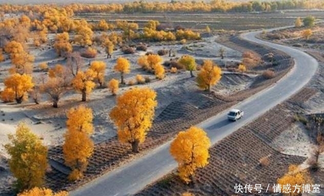 中国“超级”工程,30万亩沙漠成绿洲,印度:没有我们中国做不到