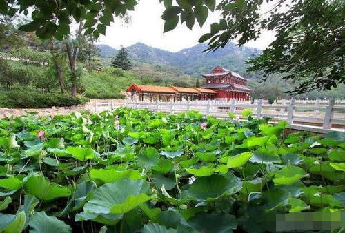 山东莱州有一个“世界名山”,大部分人没听说过,环境十分清幽