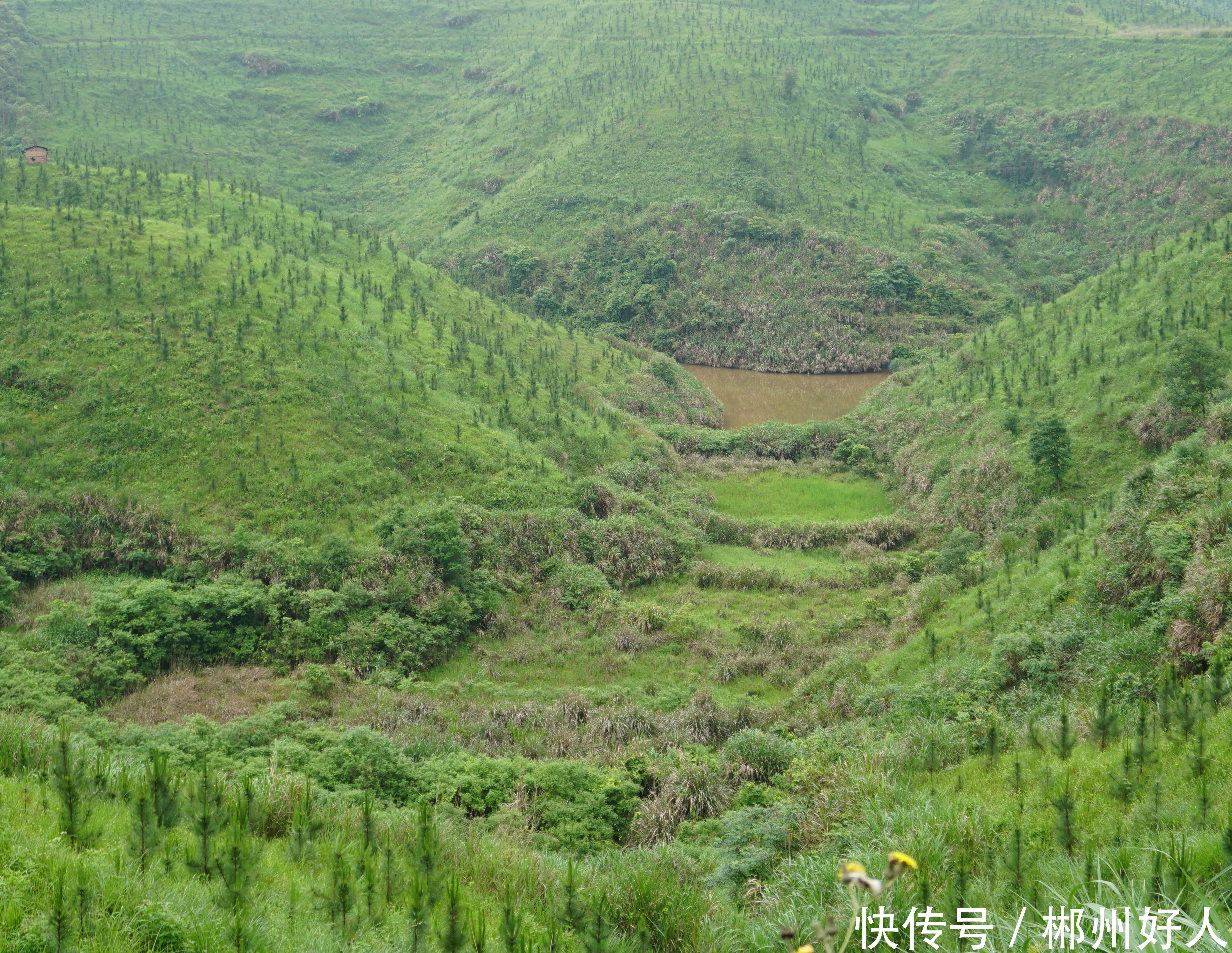 为了田野的希望之三---扶贫修水库