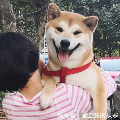 北京马拉松袭胸事件受害者发声在我之前还有人被摸过，已报警！