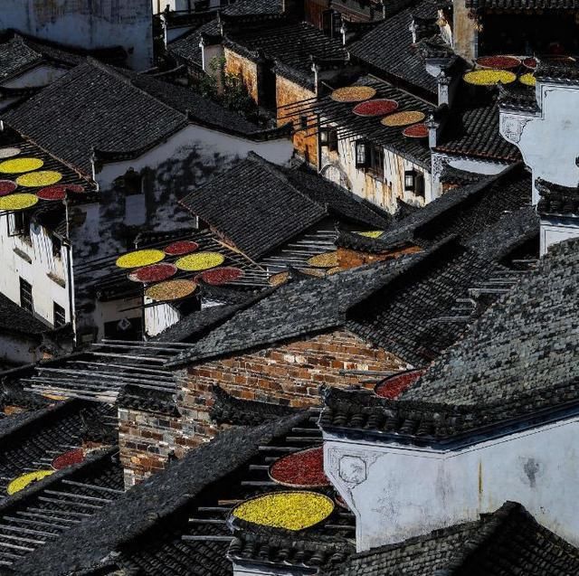 秋天的模样，篁岭都有了!不如趁着人少的初秋去看晒秋节