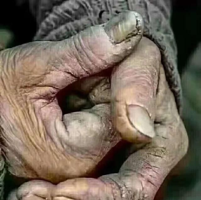  「心酸」曾卖3元，现在堆在路边不要钱也无人问津，看农民的裂手