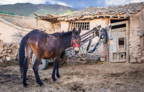  「生活」未来农村最值钱的不是房子和车子，而是以下3样东西，你