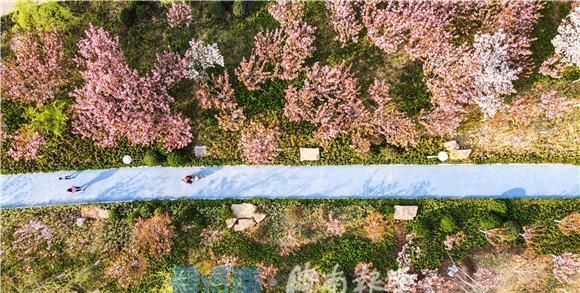  『土坡』“绽放”在春天里！济南小清河土坡河堤变身休闲公园