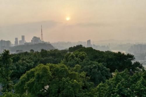 中国最淡定景区,火到最多一天来11万游客,死活就是不收费