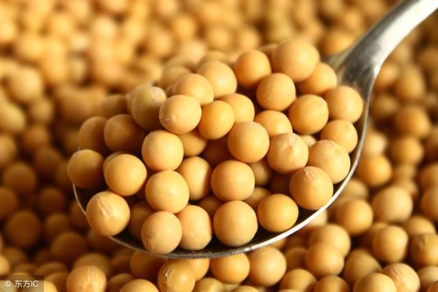 为什么中国大量进口大豆,不收购我们国内自己产的大豆?