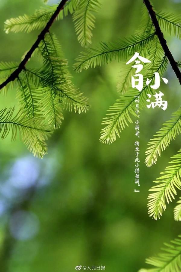  「狂飙」江苏：过完520后，全省高温狂飙！