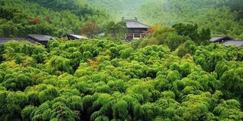 中国森林覆盖率最高的三个省份，第1名非常适合居住，是你家乡？