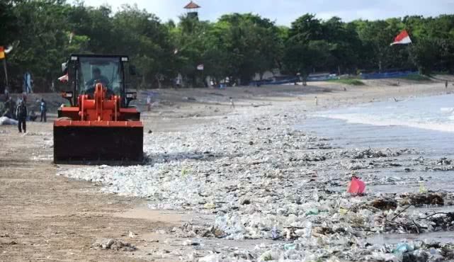 逼疯上海人的“垃圾分类”背后，藏着14亿中国人不知道的残忍真相