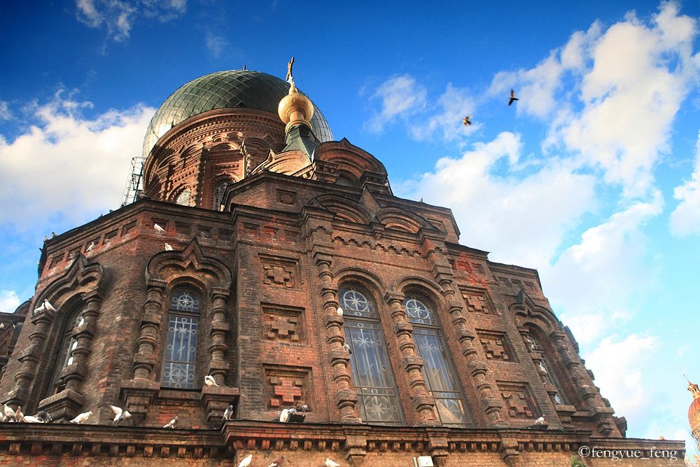 大兴安岭特大火灾澳洲火灾