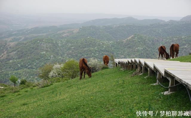 都说伊犁风光好，赛里木湖见真章