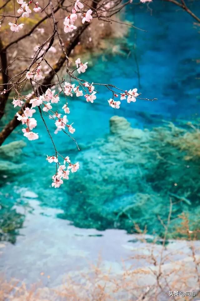这几个地方景色太美还免费，网友大呼：辞职也要去看看