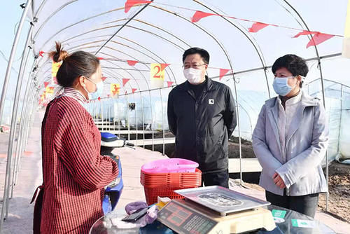  [大棚]从50元跌到10元，还是卖不出去，可让乡亲们愁坏了，销路