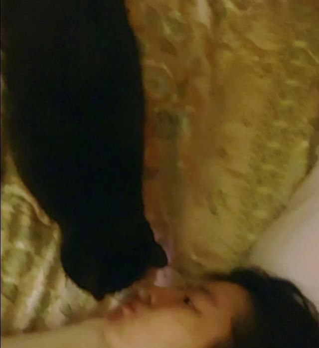 「宠物」生活在动物园的明星, 刘亦菲化妆间不忘撸猫, 到处都是宠物