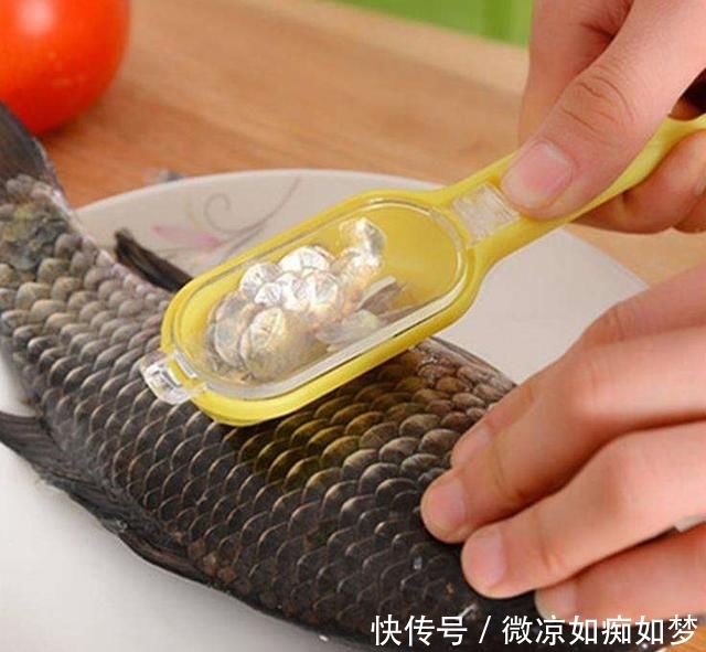 「鱼鳞」很多人买鱼的时候将“鱼鳞”丢弃，殊不知它有这4大价值